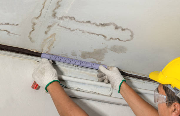 Reliable Water Damage Repair contractor in Dorsey, IL by Aqua Guard Water Damage